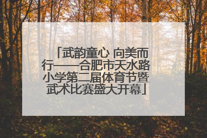 武韵童心 向美而行——合肥市天水路小学第二届体育节暨武术比赛盛大开幕