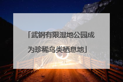 武钢有限湿地公园成为珍稀鸟类栖息地