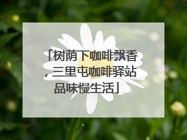 树荫下咖啡飘香，三里屯咖啡驿站品味慢生活