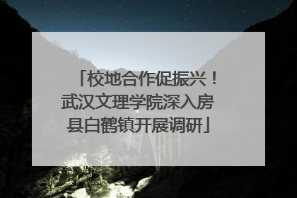 校地合作促振兴！武汉文理学院深入房县白鹤镇开展调研