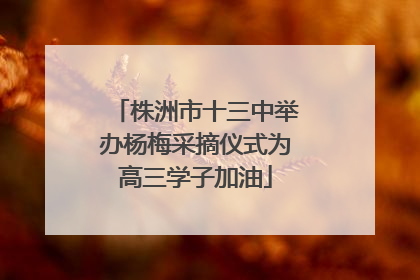 株洲市十三中举办杨梅采摘仪式为高三学子加油