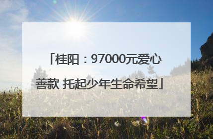 桂阳：97000元爱心善款 托起少年生命希望