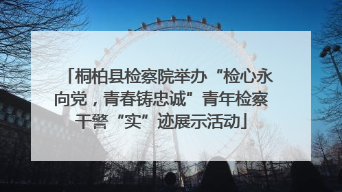 桐柏县检察院举办“检心永向党，青春铸忠诚”青年检察干警“实”迹展示活动