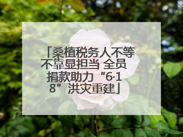 桑植税务人不等不靠显担当 全员捐款助力“6·18”洪灾重建