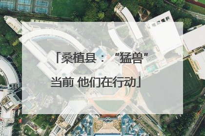 桑植县：“猛兽”当前 他们在行动