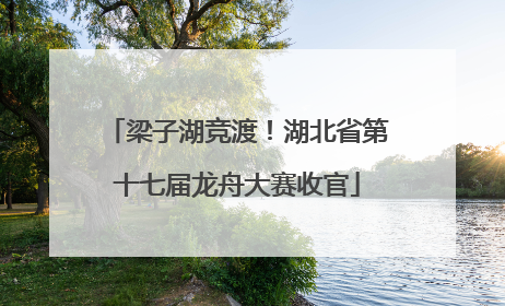 梁子湖竞渡！湖北省第十七届龙舟大赛收官