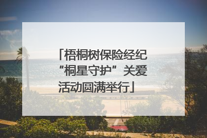 梧桐树保险经纪“桐星守护”关爱活动圆满举行