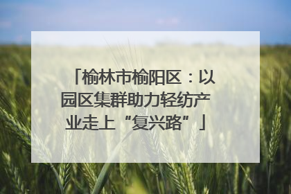 榆林市榆阳区：以园区集群助力轻纺产业走上“复兴路”