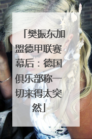 樊振东加盟德甲联赛幕后：德国俱乐部称一切来得太突然