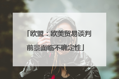 欧盟：欧美贸易谈判前景面临不确定性