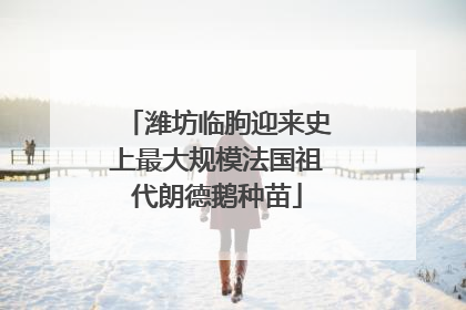 潍坊临朐迎来史上最大规模法国祖代朗德鹅种苗