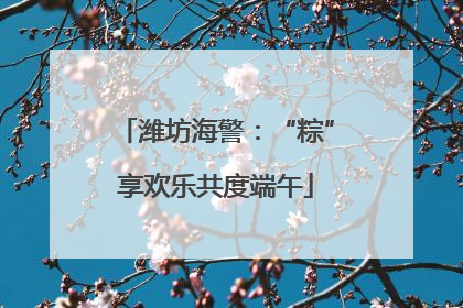 潍坊海警：“粽”享欢乐共度端午