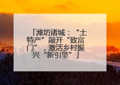 潍坊诸城：“土特产”敲开“致富门”，激活乡村振兴“新引擎”
