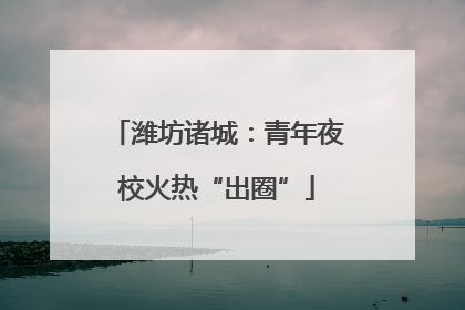 潍坊诸城：青年夜校火热“出圈”