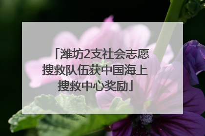 潍坊2支社会志愿搜救队伍获中国海上搜救中心奖励