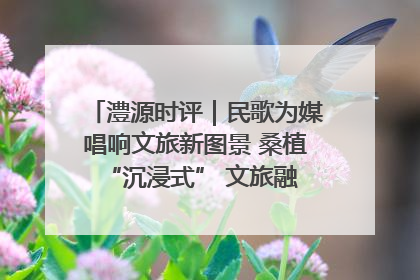澧源时评｜民歌为媒唱响文旅新图景 桑植 “沉浸式” 文旅融合的破圈启示
