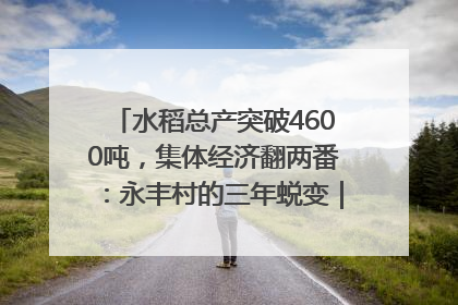 水稻总产突破4600吨，集体经济翻两番：永丰村的三年蜕变｜您牵挂的四川