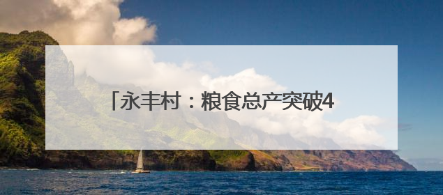 永丰村：粮食总产突破4600吨 村集体经济收入三年倍增｜牵挂的村