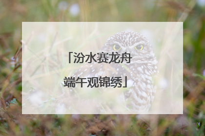 汾水赛龙舟 端午观锦绣