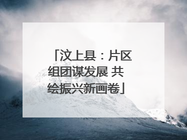 汶上县：片区组团谋发展 共绘振兴新画卷