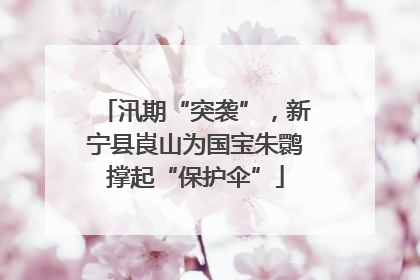 汛期“突袭”，新宁县崀山为国宝朱鹮撑起“保护伞”