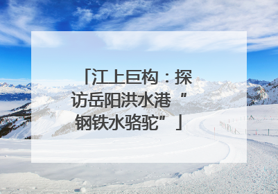 江上巨构：探访岳阳洪水港“钢铁水骆驼”