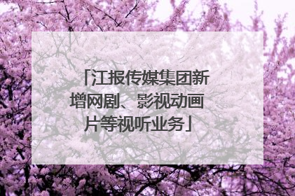 江报传媒集团新增网剧、影视动画片等视听业务