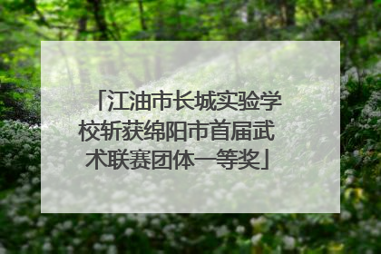 江油市长城实验学校斩获绵阳市首届武术联赛团体一等奖