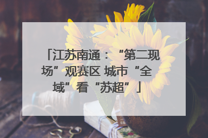 江苏南通：“第二现场”观赛区 城市“全域”看“苏超”