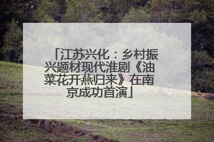 江苏兴化：乡村振兴题材现代淮剧《油菜花开燕归来》在南京成功首演