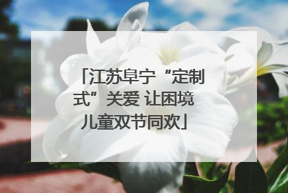 江苏阜宁“定制式”关爱 让困境儿童双节同欢