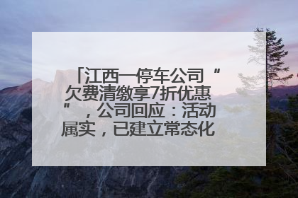 江西一停车公司“欠费清缴享7折优惠”，公司回应：活动属实，已建立常态化诉讼追缴机制