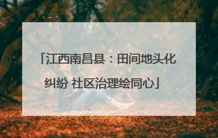 江西南昌县：田间地头化纠纷 社区治理绘同心