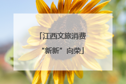 江西文旅消费“新新”向荣