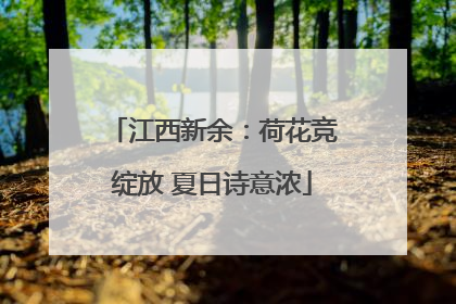 江西新余：荷花竞绽放 夏日诗意浓