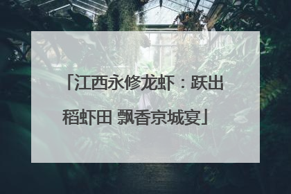 江西永修龙虾：跃出稻虾田 飘香京城宴