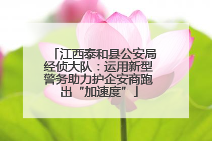 江西泰和县公安局经侦大队：运用新型警务助力护企安商跑出“加速度”