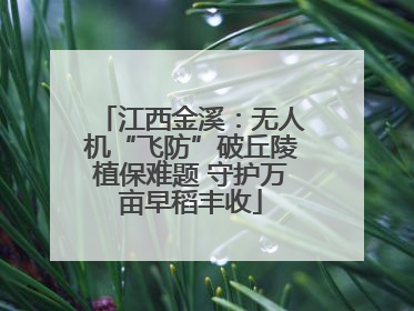 江西金溪：无人机“飞防”破丘陵植保难题 守护万亩早稻丰收