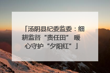 汤阴县纪委监委：细耕监督“责任田” 暖心守护“夕阳红”