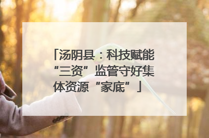 汤阴县：科技赋能“三资”监管守好集体资源“家底”