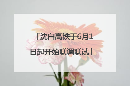沈白高铁于6月1日起开始联调联试
