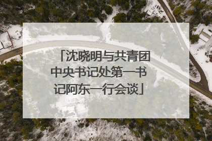 沈晓明与共青团中央书记处第一书记阿东一行会谈