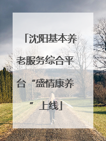 沈阳基本养老服务综合平台“盛情康养”上线