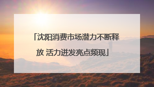 沈阳消费市场潜力不断释放 活力迸发亮点频现