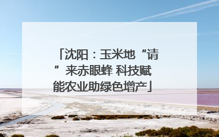 沈阳：玉米地“请”来赤眼蜂 科技赋能农业助绿色增产