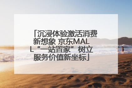 沉浸体验激活消费新想象 京东MALL“一站置家”树立服务价值新坐标