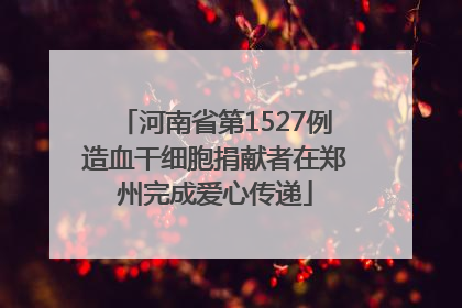 河南省第1527例造血干细胞捐献者在郑州完成爱心传递