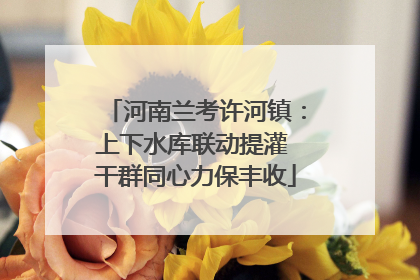 河南兰考许河镇：上下水库联动提灌 干群同心力保丰收