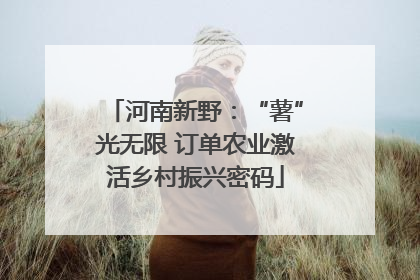 河南新野：“薯”光无限 订单农业激活乡村振兴密码