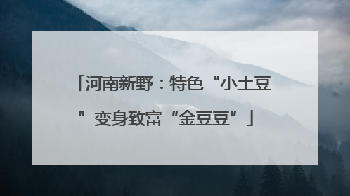 河南新野：特色“小土豆”变身致富“金豆豆”
